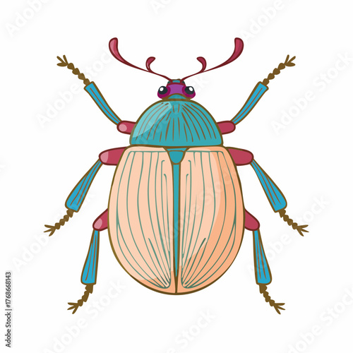 Magnifique scarabée, isolé sur fond blanc