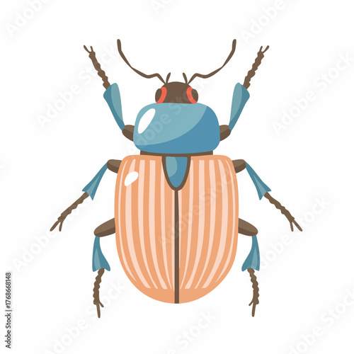 Magnifique scarabée, isolé sur fond blanc