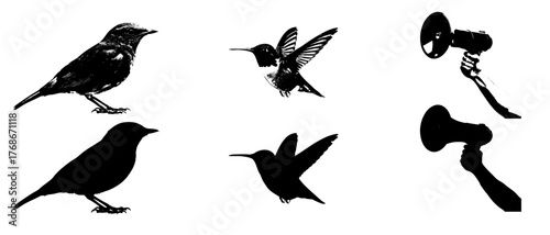 set of silhouettes of birds