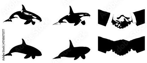 Photography set of silhouettes of animals