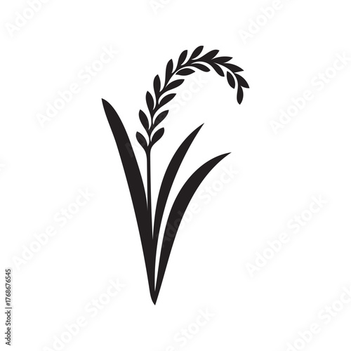 Minimalist dark silhouette of a single rice stalk with leaves on a white background representing agriculture and food