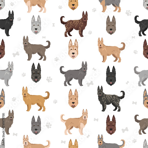 Berger picard clipart. Different coat colors and poses set.  Vector illustration