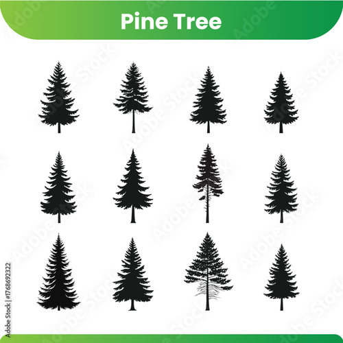Stylized pine tree silhouette with clean lines and a natural feel