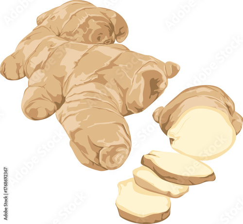 Illustration of fresh ginger root, with a portion sliced and pieces arranged on a white background.