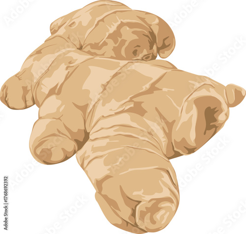 An illustration of two ginger roots stacked on top of each other, showcasing their textured surface and beige color.