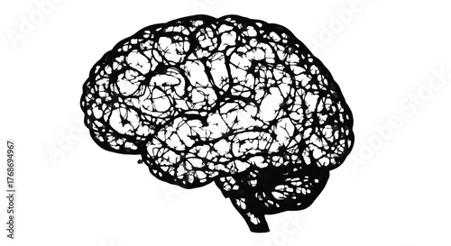 Intricate black and white illustration of a human brain, symbolizing thought and knowledge.