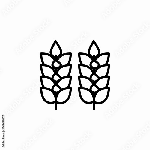 two wheat stalks icon sign vector