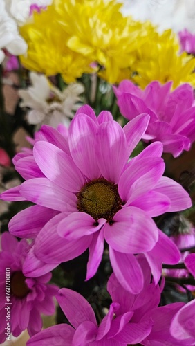 Bright pink and yellow flowers arranged in a vibrant bouquet during a sunny afternoon