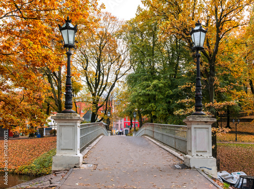Late autumn in old public park, walking pedestrian bridge and footpaths alley...