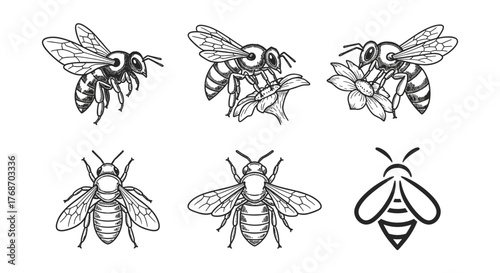 Collection of six stylized bee illustrations in a vintage, etched, line art style, set against a black background. Includes bees in flight, collecting nectar from flowers, and simplified iconographic