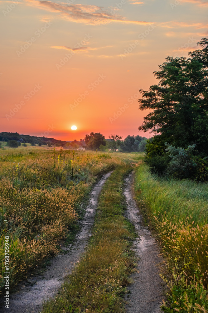 Obraz premium Sunrise over a meadow and country road on a summer morning. Picturesque countryside with a dirt road