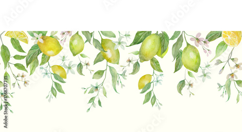 Hand-painted watercolor botanical seamless border featuring lemon branches, citrus fruits, white blossoms, and fresh green leaves. Vector EPS.