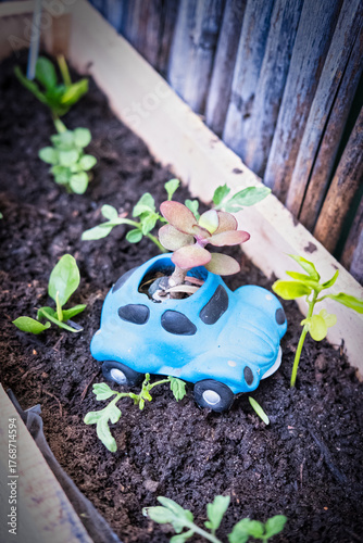 Succulent Growing from Blue Toy Car Planter in Garden