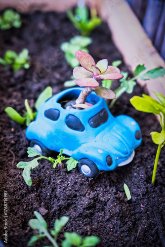 Succulent Growing from Blue Toy Car Planter in Garden