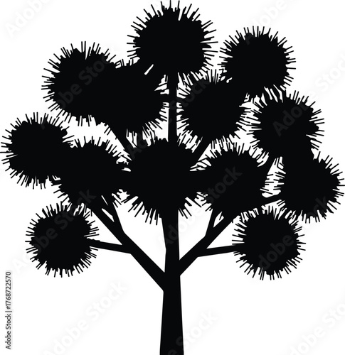 Silhouette Joshua tree isolated on white background vector illustration