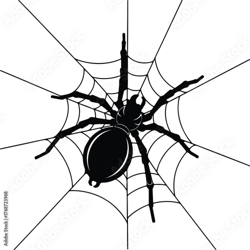 Silhouette of a spider on a web black vector illustration