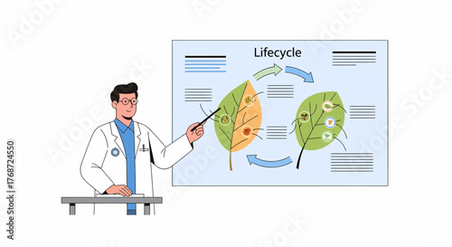 Explaining Plant Lifecycle Growth With Man In Medical Outfit