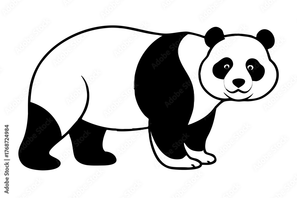 Fototapeta premium Black Panda