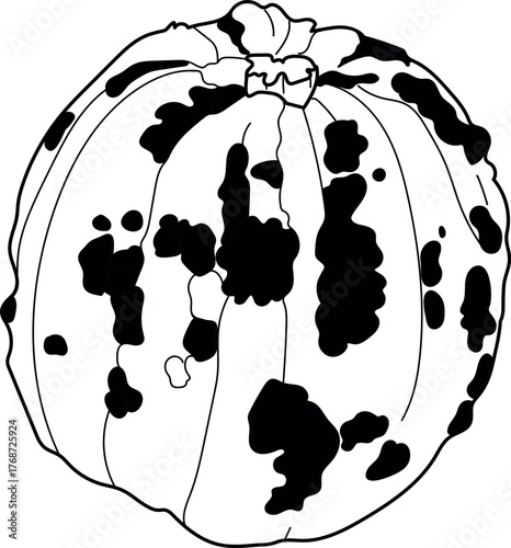 Black and white drawing of a pumpkin with an unusual surface covered with warts