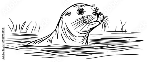 Curious seal head emerging from water – minimalist hand‑drawn marine wildlife line art vector illustration