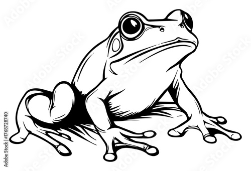 Sitting frog sketch – realistic amphibian line art vector illustration of frog on ground