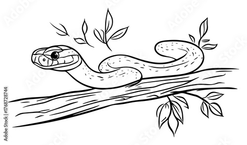 Tree snake coiled on branch – dangerous reptile hand‑drawn line art vector illustration