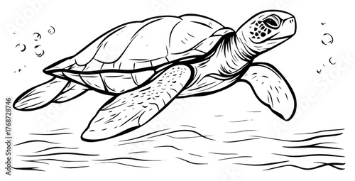 Sea turtle swimming underwater – marine wildlife hand‑drawn line art vector illustration