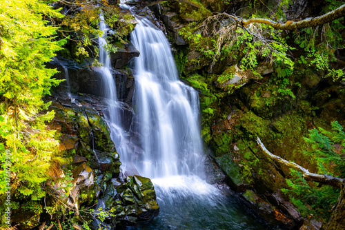Slika na platnu Scenic View of Carter Falls in summer