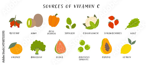 Sources of vitamin C, healthy fruits and vegetables infographic, flat vector illustration