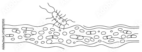 Water pollution with bacteria sketch – harmful microorganism swimming in contaminated liquid, vector illustration