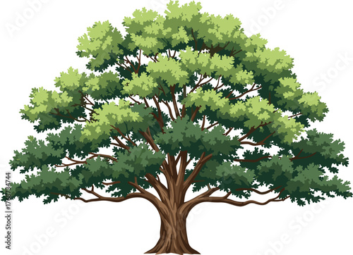 Large Mature Deciduous Tree Vector with Broad Green Canopy and Spreading Branches, Excellent for Nature Illustration, Landscape Design, and Outdoor Scenery.