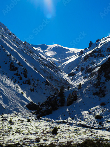 Winter Landscape with Bright White Snow