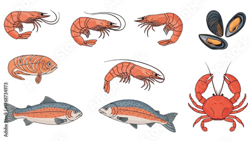 Collection of Seafood and Shellfish Illustrations Including Shrimp, Mussels, Fish, and Crab