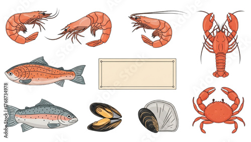 Seafood Collection Fresh Shrimp, Lobster, Crab, Fish, and Mussels Illustration