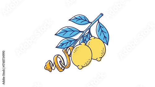 Vector illustration of a fresh lemon branch with two citrus fruits and a spiral zest