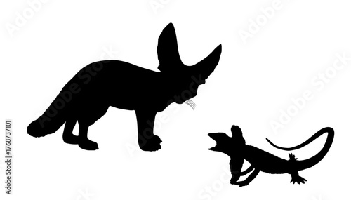 Fennec fox hunting lizard vector silhouette illustration isolated on white background. Shape shadow Desert fox hunt prey reptile. Vulpes zerda hunter. Desert in Africa, Sahara wildlife.