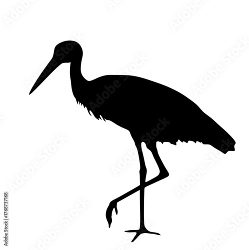 Hunting elegant stork vector silhouette illustration isolated on background. Visitant migration bird animal stork finding food in water. Water echo system. Shape stork shadow.