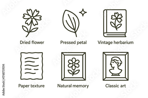 Botanical preservation icons: dried flower, pressed petal, vintage herbarium, paper texture, natural memory, classic art