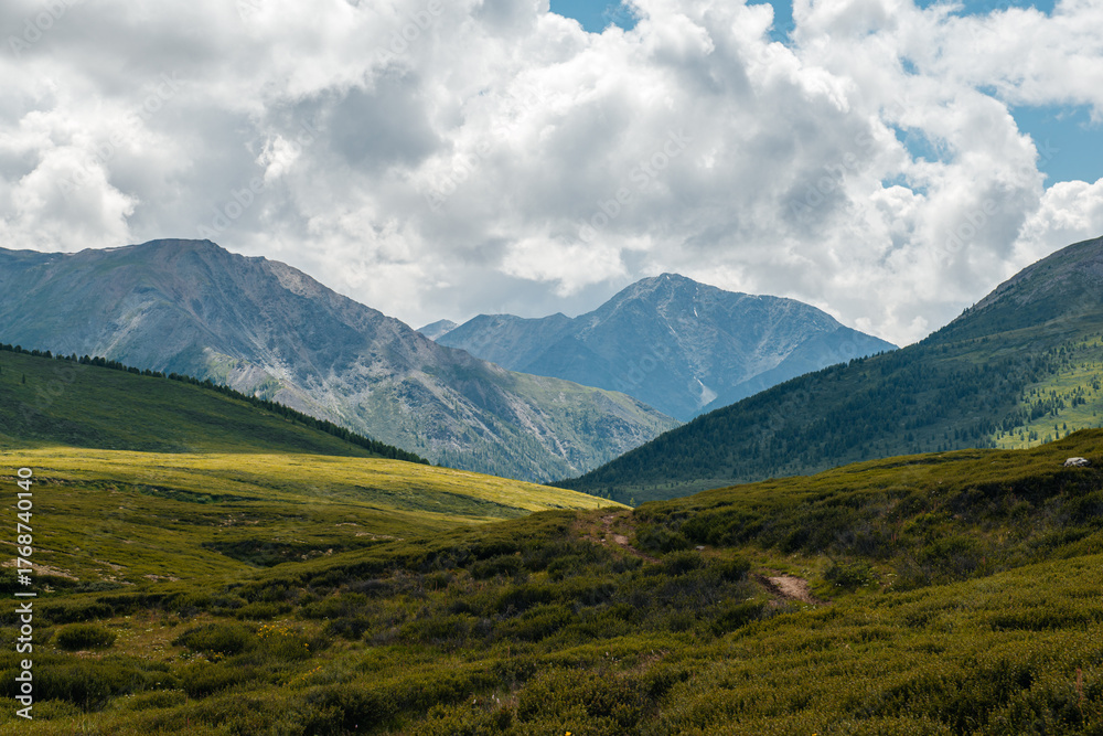 Naklejka premium A green plateau in the middle of the Altai mountains in sunny summer weather, Russia