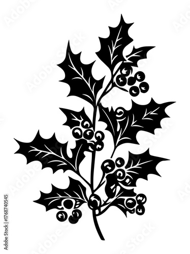 Christmas holly branch silhouette with leaves and berries, festive winter plant ideal for holiday cards and seasonal decor