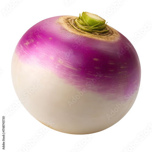  purple turnips isolated on transparent white background full depth of field clipping path