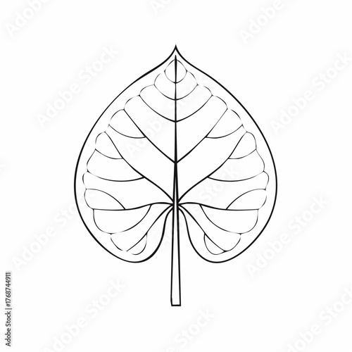 leaf silhouette vector