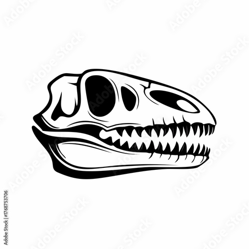 vector illustration of a fish