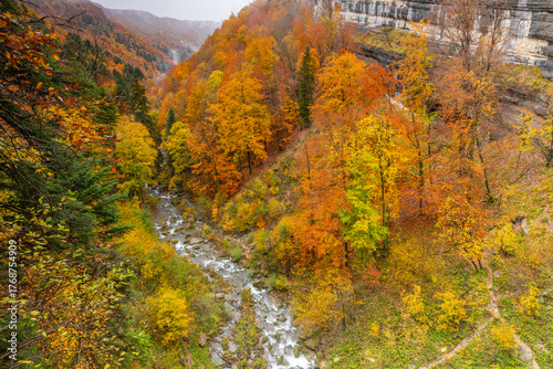 Le Jura en saison d'automne en France