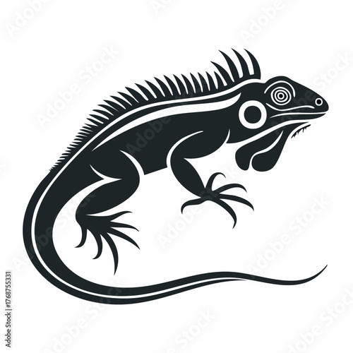 lizard isolated on white