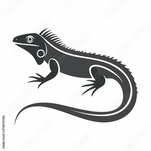 silhouette of a lizard