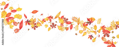 Autumn leaves vector design. Various foliage shapes and colors, including maple, oak, rowan leaves, with acorns and seeds, perfect for seasonal flyers, fall elements.