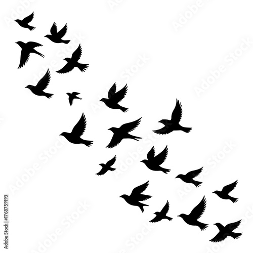 Graceful flight of birds soaring together symbolizing freedom and migration, perfect for nature designs and artistic projects, evoking peace and serenity.