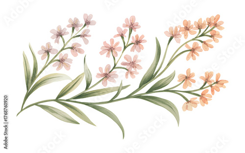 Schilderij op canvas Soft pastel watercolor Erysimum wallflower branch