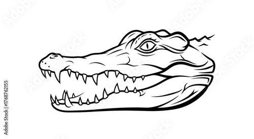 Detailed illustration of an alligator head showcasing its sharp teeth and reptilian features